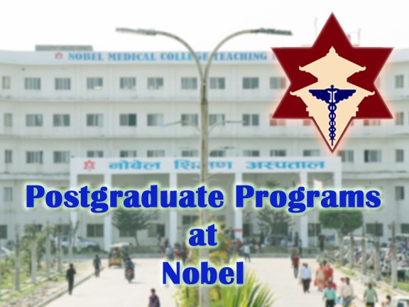 Undergraduate Program