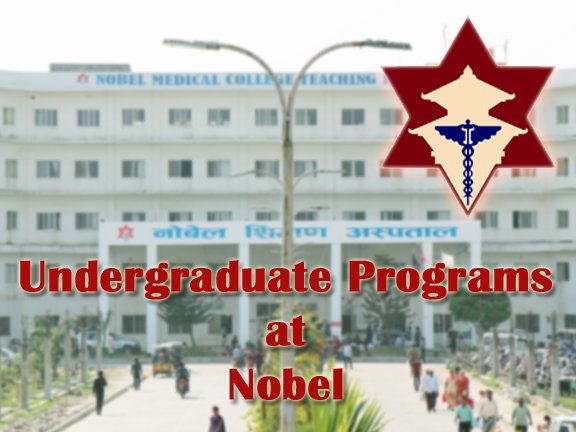 Undergraduate Program